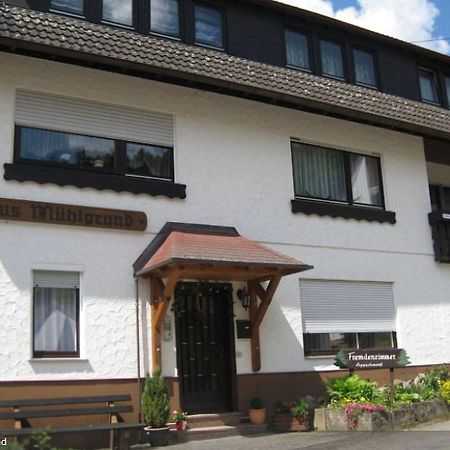 Haus Muehlgrund Apartment Bad Wildbad Exterior photo